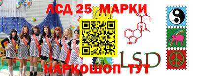 мдпв Заволжье