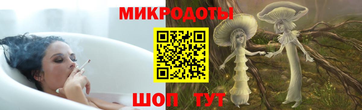 Михайловск  Псилоцибиновые грибы мицелий  Вход с VPN  Галлюциногенные грибы Psilocybe 